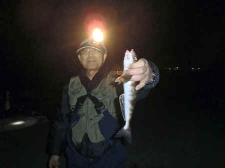 CIMG6885.jpg (123944 バイト)