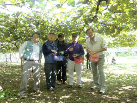kajuen03.jpg (441062 バイト)