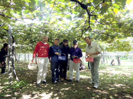 kajuen05.jpg (742001 バイト)