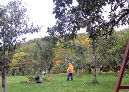 CIMG4386.JPG (1151051 oCg)
