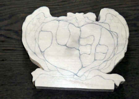 CIMG6952.JPG (189708 �o�C�g)